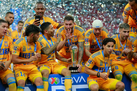 Tigres: El Quinto Grande