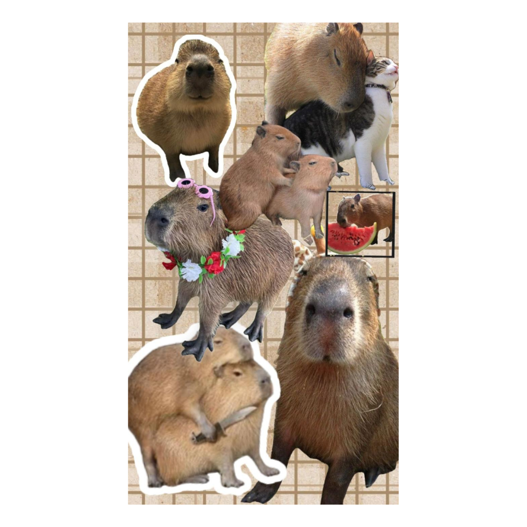 Toalla de Baño Capibara Kawaii | Suave y Absorbente